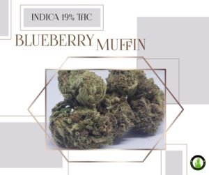 blueberry+muffin.jpeg